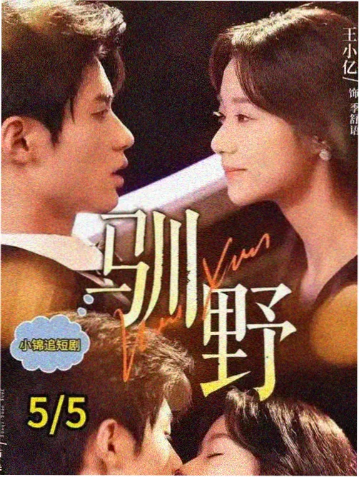 声音与字幕设置示意图